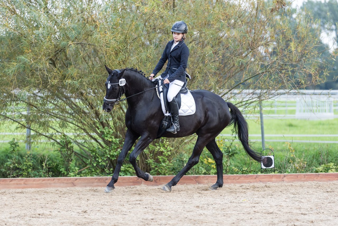 Bild 775 - Fuchshof Turnier